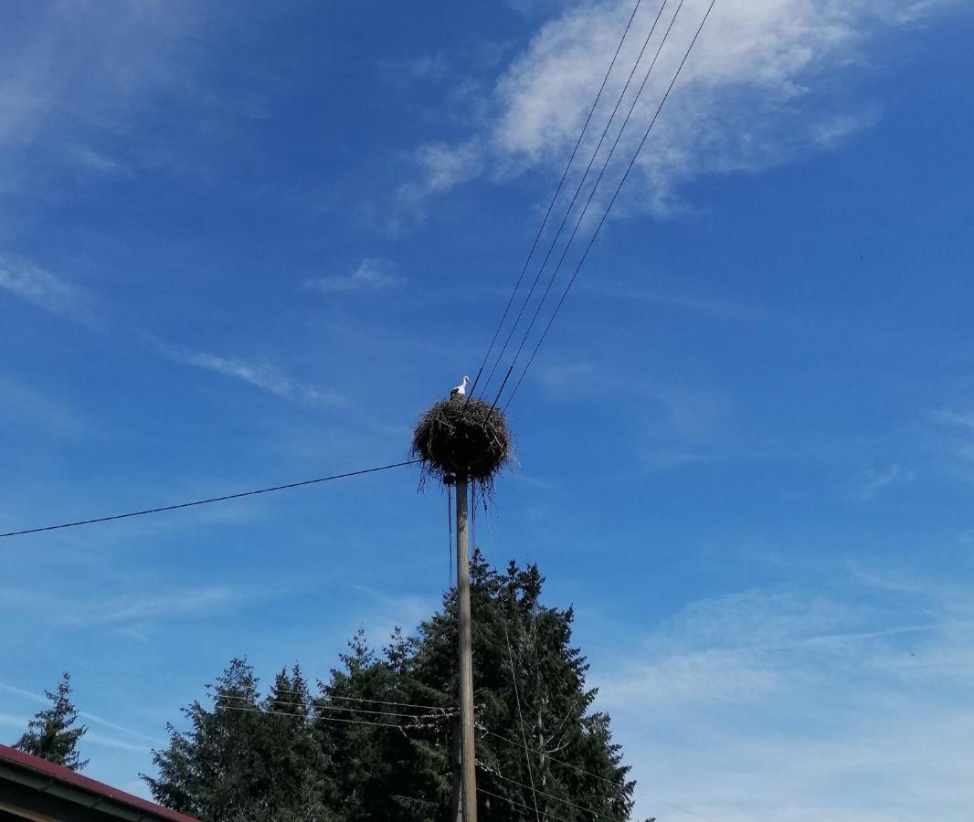 Schwarzwald Appartement Steinen  Exterior foto